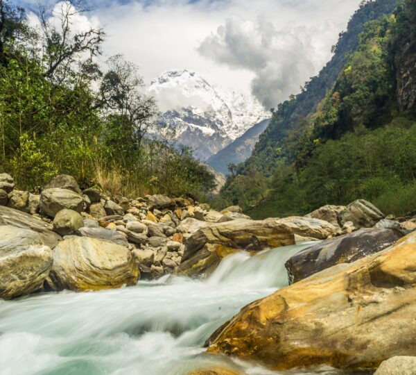 Pakistan Scene